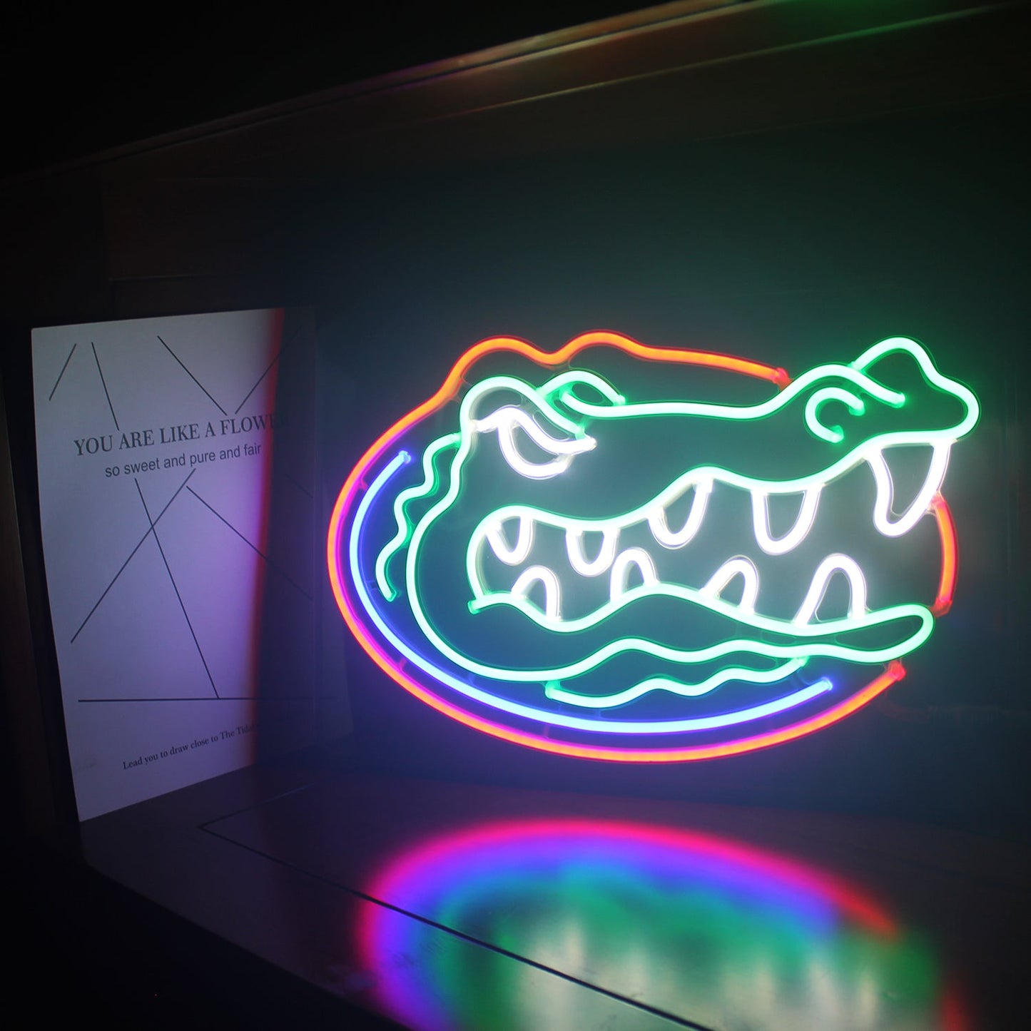 Florida Gators LED Neon Sign Wall Decor Room Decoration Bar Decor Dorm Decor Gifts