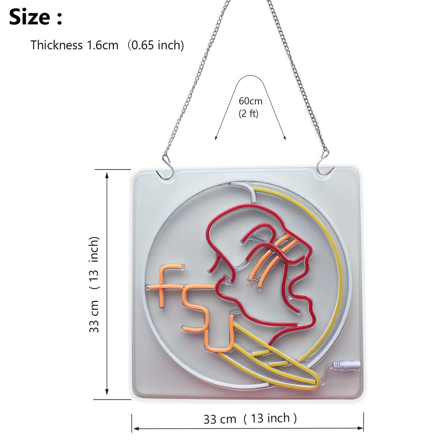 Florida State Seminoles Led Neon Sign Wall Decor Room Decoration Bar Decoration Dorm Decor