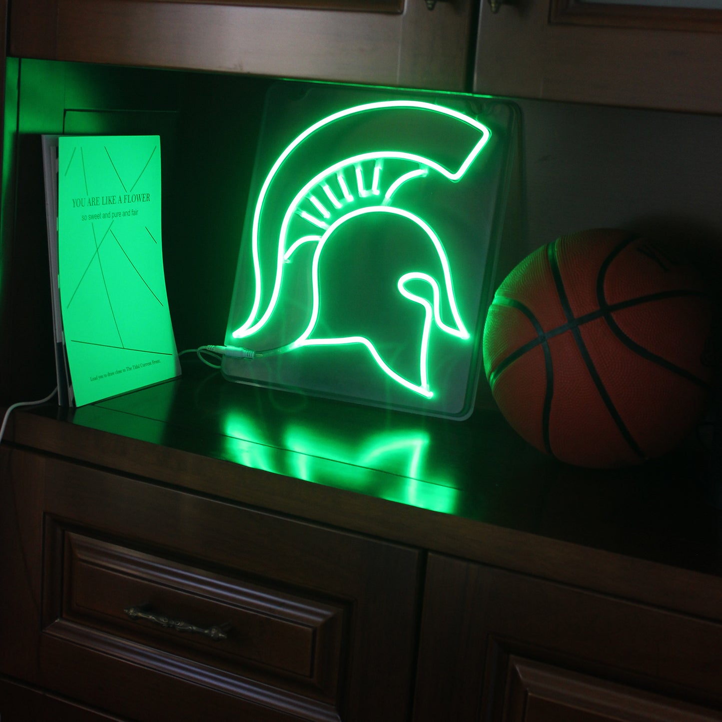 Michigan State MSU Spartans LED Neon Sign For Party Decor, Dorm Decor and Room Decor