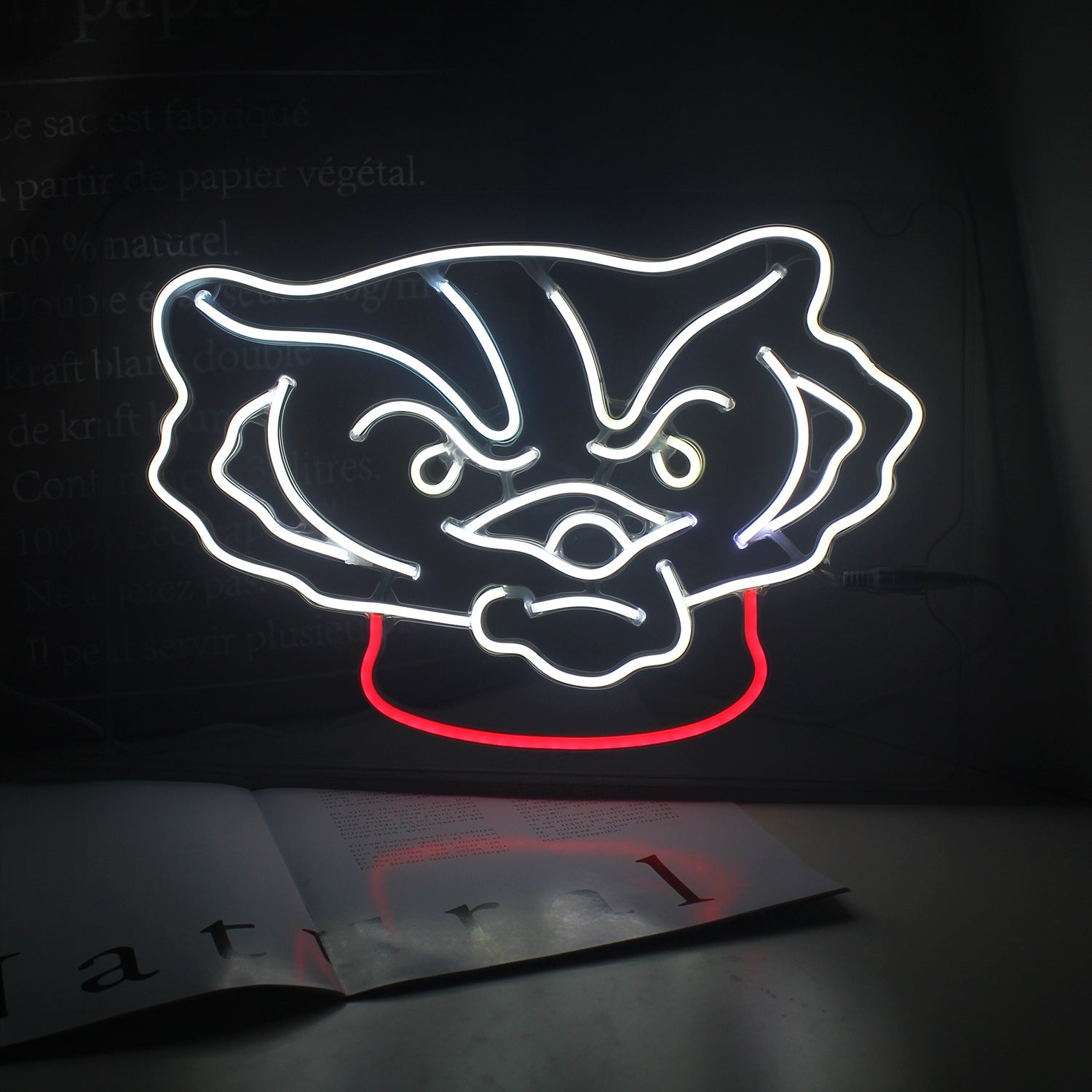Wisconsin Badgers LED Neon Sign Wall Decoration Room Decoration Dorm Decoration Gifts