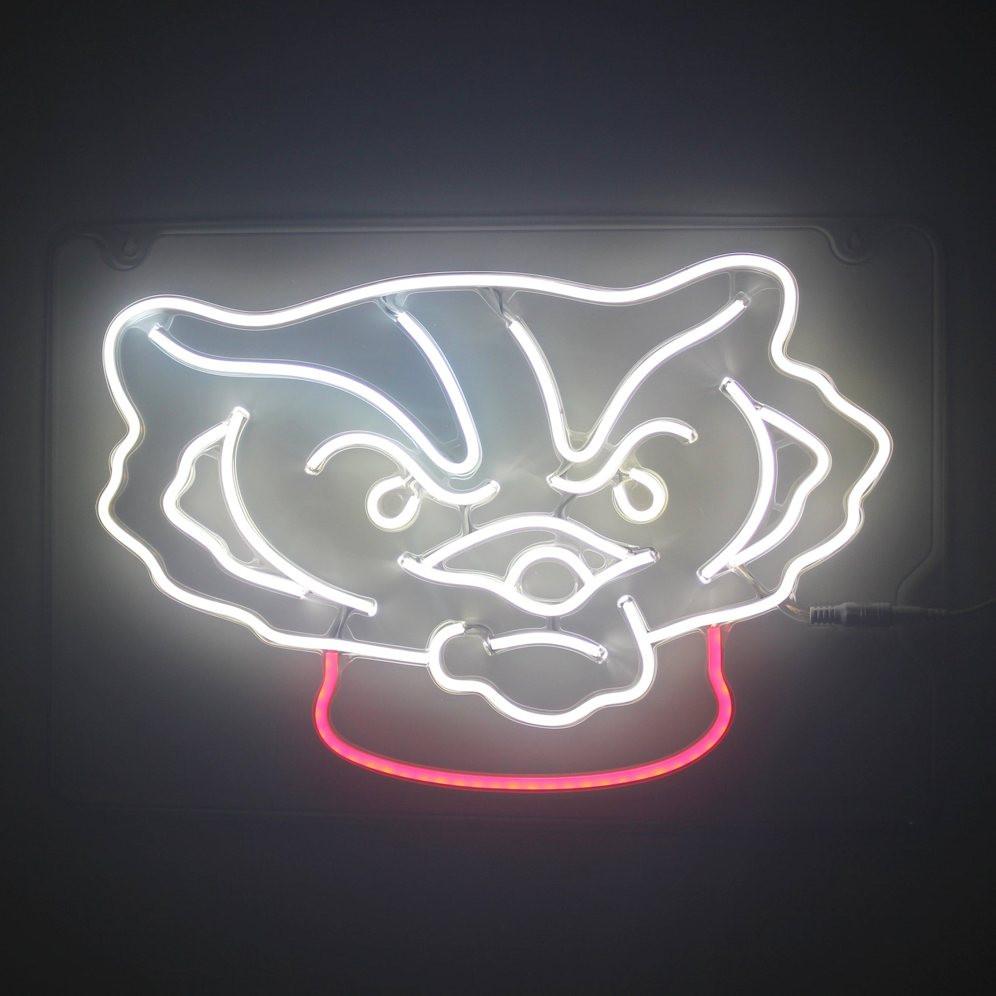 Wisconsin Badgers LED Neon Sign Wall Decoration Room Decoration Dorm Decoration Gifts